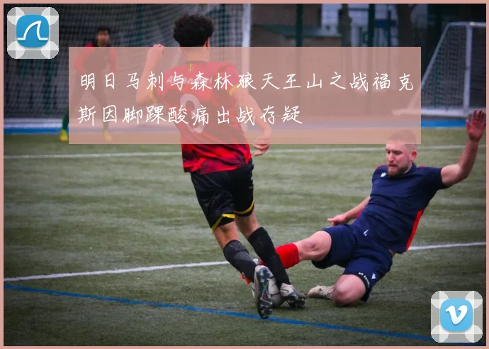 明日马刺与森林狼天王山之战福克斯因脚踝酸痛出战存疑