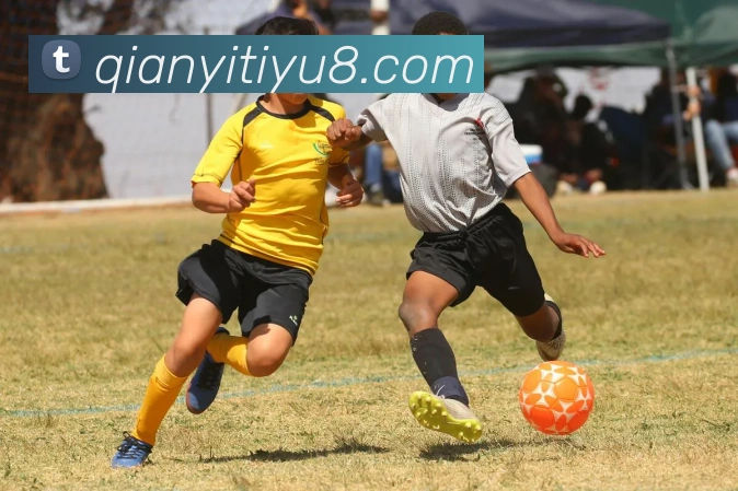 多媒体互动体验